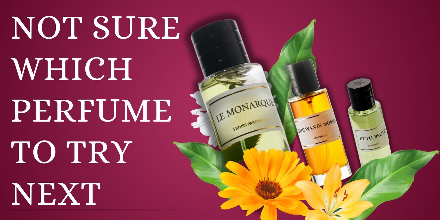 Not Sure Which Perfume to Try Next? Start Here!