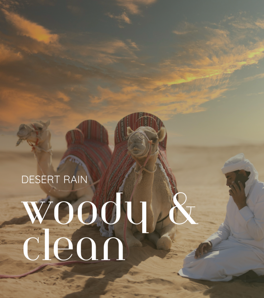 DESERT RAIN